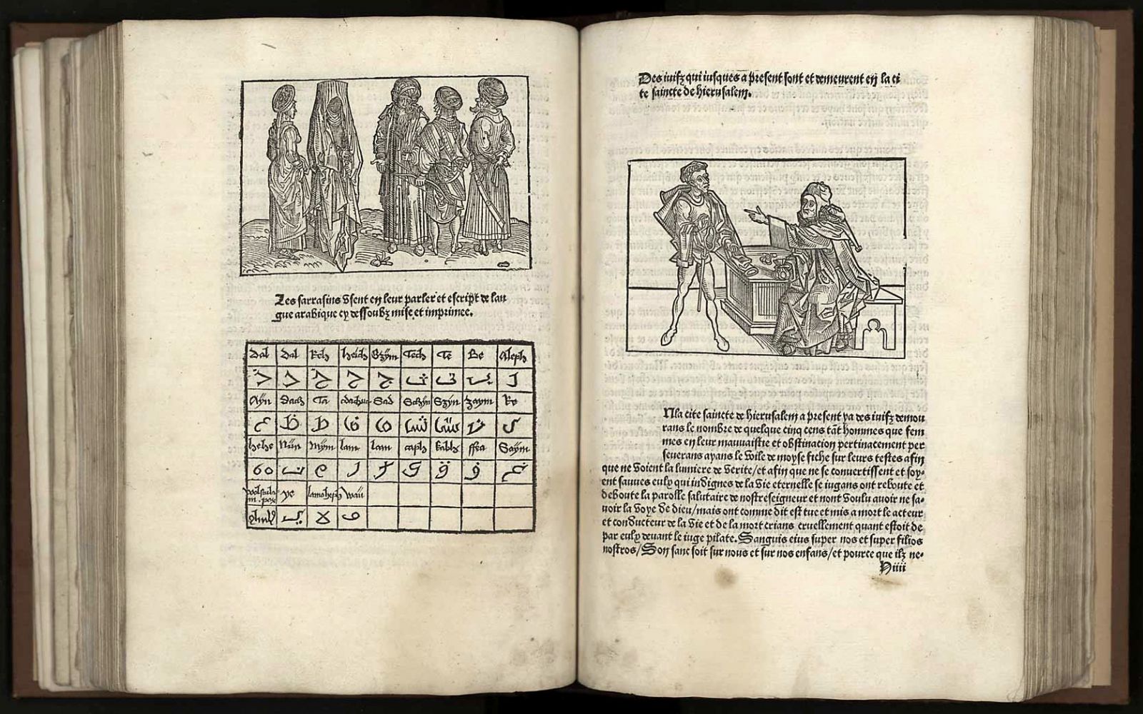 Le saint Voiage et pèlerinage de la cité sainte de Hiérusalem, Lyon, 1489 [Inc 103]