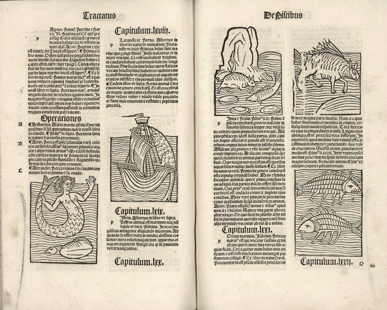 Ortus sanitatis…, Strasbourg, 1497 [Inc 208]